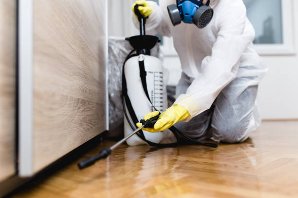 Best Exterminator Services  in Susan Moore, AL