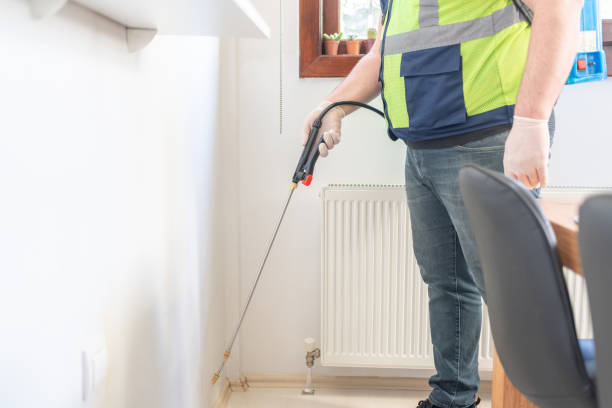 Professional Pest Control in Susan Moore, AL