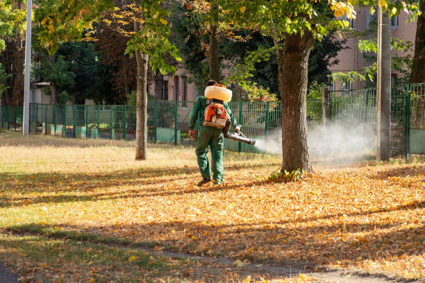 Flea Control Services in Susan Moore, AL